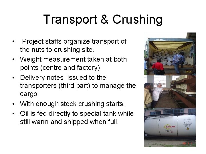 Transport & Crushing • Project staffs organize transport of the nuts to crushing site.
