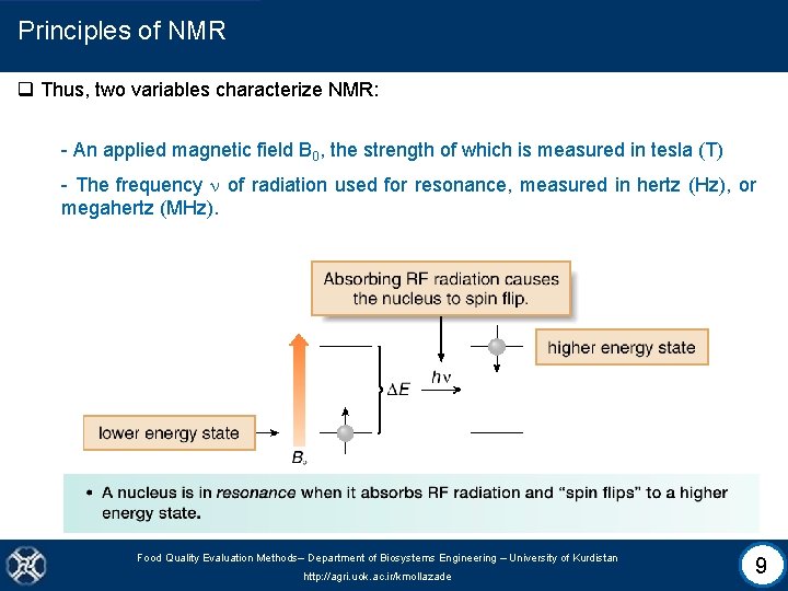 Principles of NMR q Thus, two variables characterize NMR: - An applied magnetic field