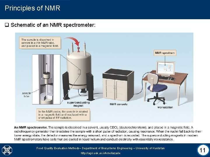 Principles of NMR q Schematic of an NMR spectrometer: Food Quality Evaluation Methods– Department