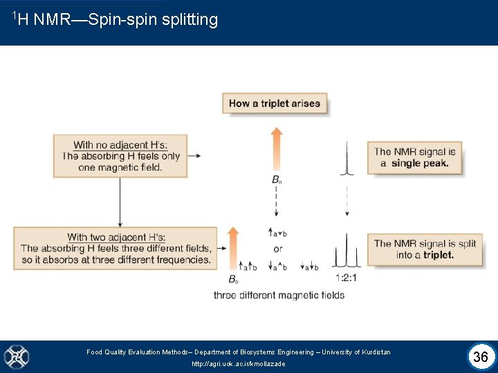 1 H NMR—Spin-spin splitting Food Quality Evaluation Methods– Department of Biosystems Engineering – University
