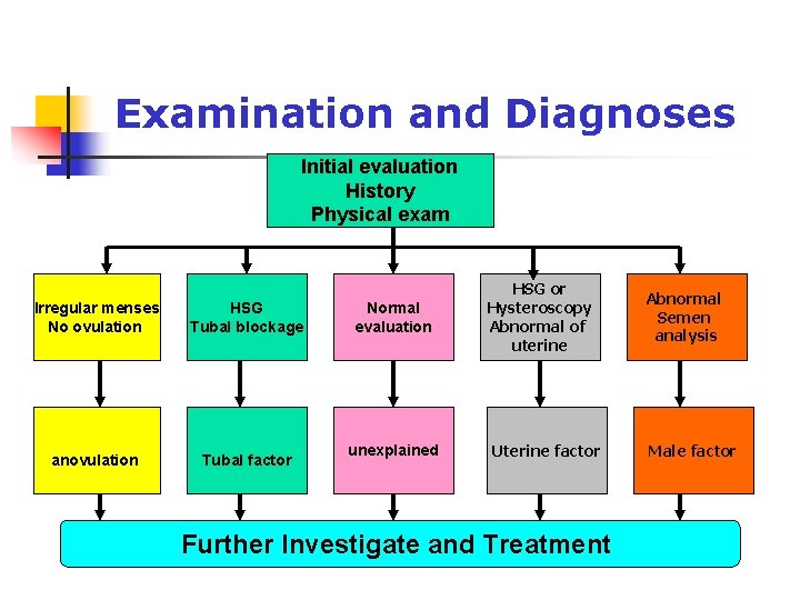 Examination and Diagnoses Initial evaluation History Physical exam Irregular menses No ovulation HSG Tubal