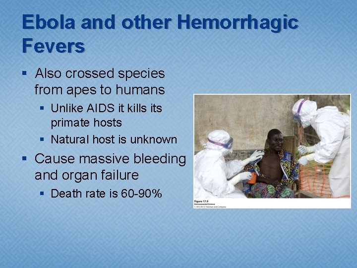 Ebola and other Hemorrhagic Fevers § Also crossed species from apes to humans §