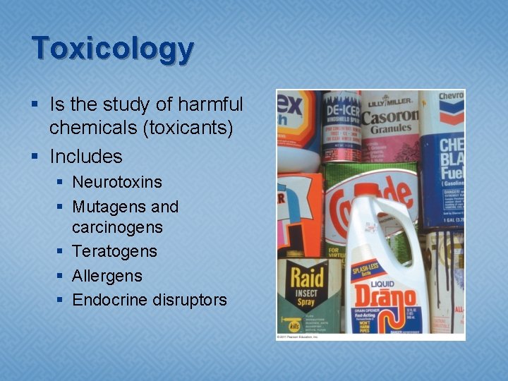 Toxicology § Is the study of harmful chemicals (toxicants) § Includes § Neurotoxins §