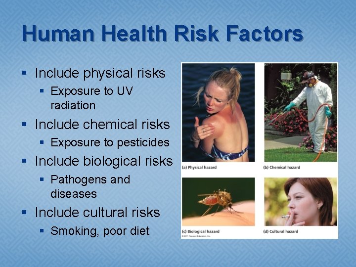 Human Health Risk Factors § Include physical risks § Exposure to UV radiation §