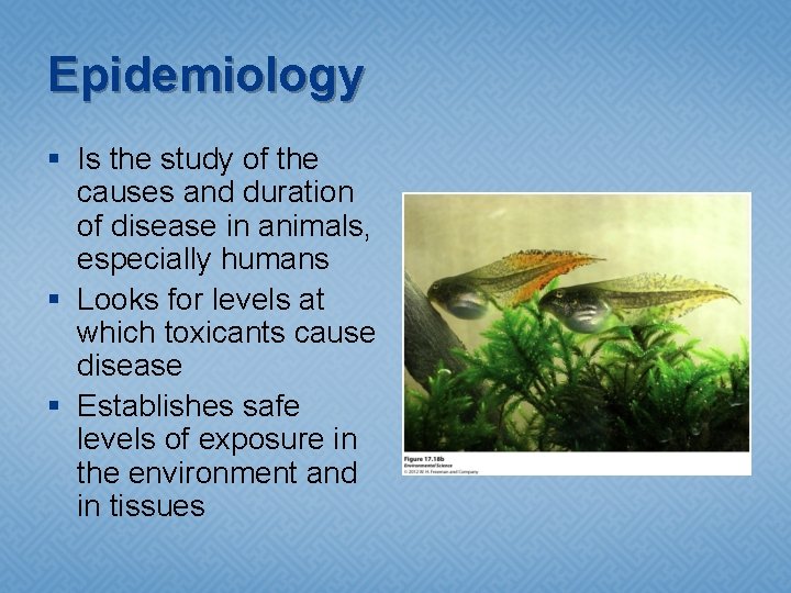 Epidemiology § Is the study of the causes and duration of disease in animals,