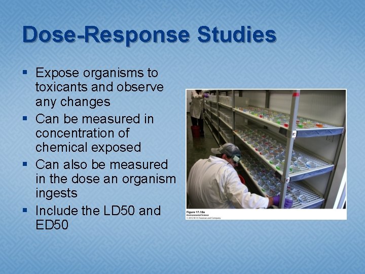 Dose-Response Studies § Expose organisms to toxicants and observe any changes § Can be