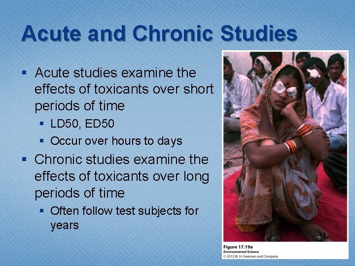 Acute and Chronic Studies § Acute studies examine the effects of toxicants over short