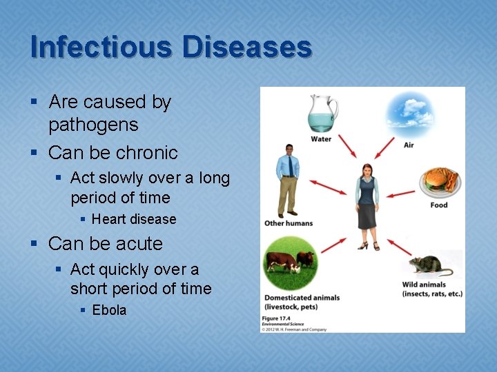 Infectious Diseases § Are caused by pathogens § Can be chronic § Act slowly