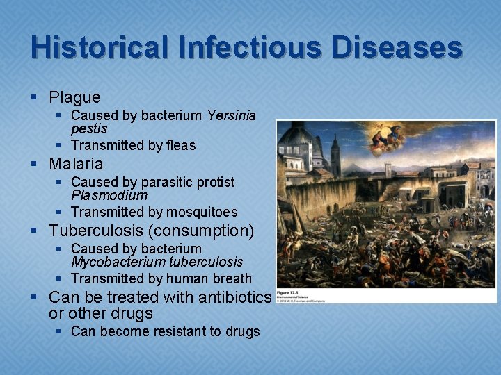 Historical Infectious Diseases § Plague § Caused by bacterium Yersinia pestis § Transmitted by