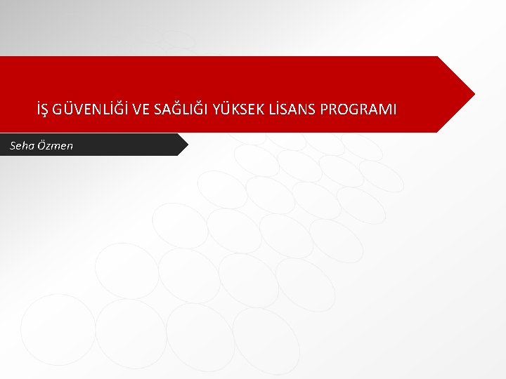 İŞ GÜVENLİĞİ VE SAĞLIĞI YÜKSEK LİSANS PROGRAMI Seha Özmen 