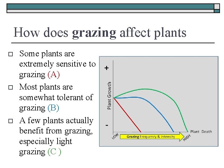 How does grazing affect plants o o o Some plants are extremely sensitive to