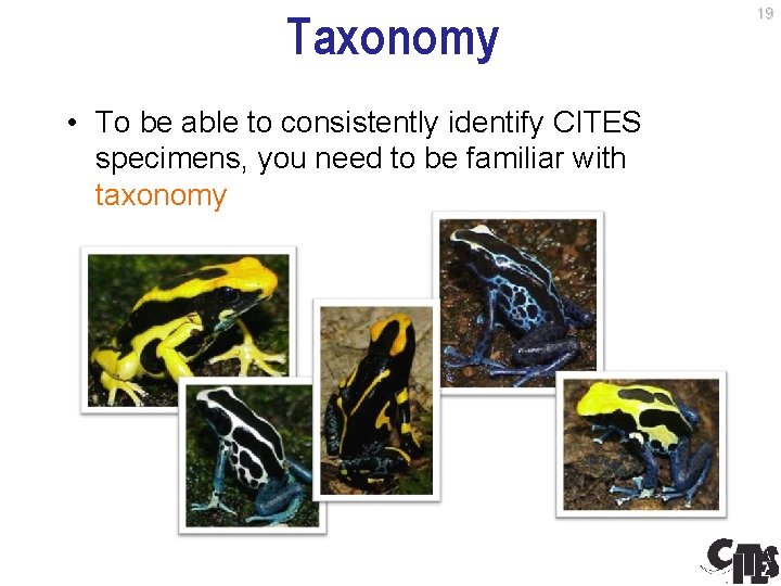 1 Introduction to species identification Convention on International