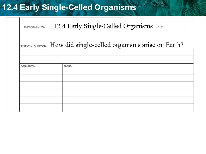 12. 4 Early Single-Celled Organisms How did single-celled organisms arise on Earth? 