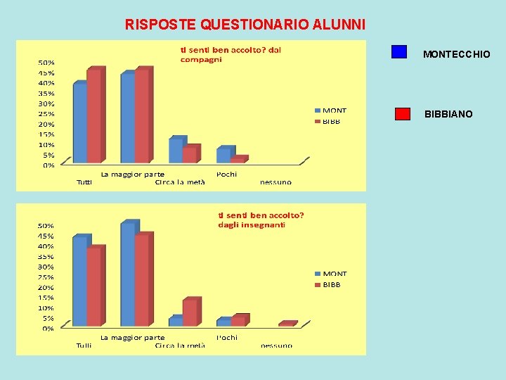 RISPOSTE QUESTIONARIO ALUNNI MONTECCHIO BIBBIANO 