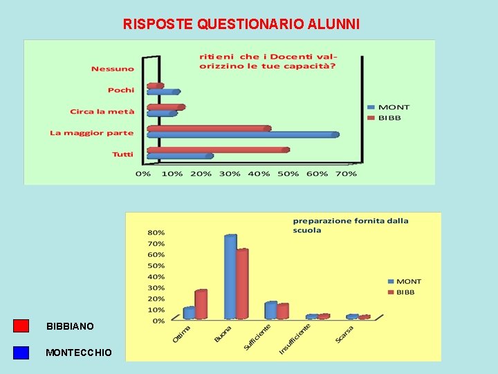 RISPOSTE QUESTIONARIO ALUNNI BIBBIANO MONTECCHIO 