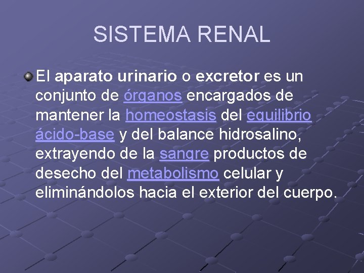 SISTEMA RENAL El aparato urinario o excretor es un conjunto de órganos encargados de