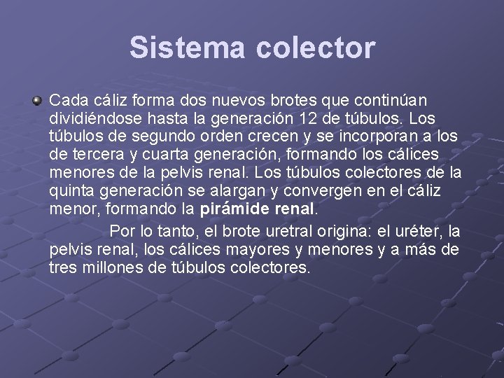 Sistema colector Cada cáliz forma dos nuevos brotes que continúan dividiéndose hasta la generación