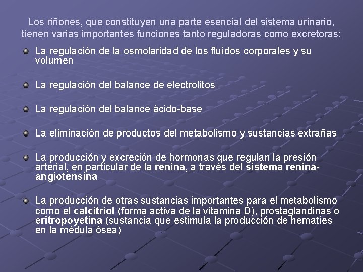 Los riñones, que constituyen una parte esencial del sistema urinario, tienen varias importantes funciones