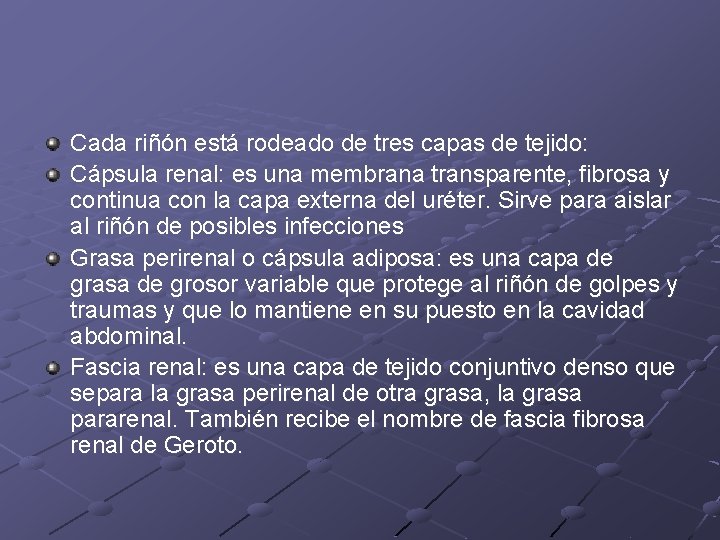 Cada riñón está rodeado de tres capas de tejido: Cápsula renal: es una membrana