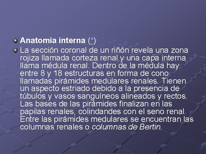 Anatomía interna (*) La sección coronal de un riñón revela una zona rojiza llamada