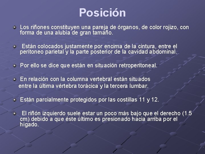 Posición Los riñones constituyen una pareja de órganos, de color rojizo, con forma de