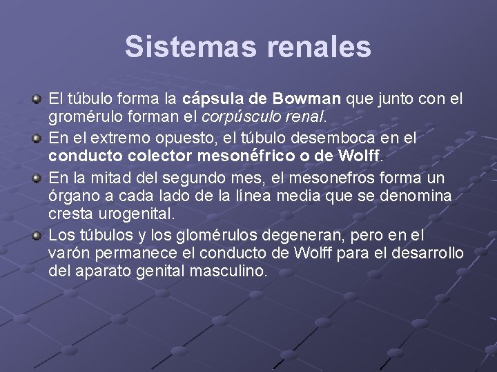 Sistemas renales El túbulo forma la cápsula de Bowman que junto con el gromérulo
