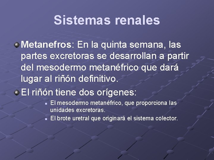 Sistemas renales Metanefros: En la quinta semana, las partes excretoras se desarrollan a partir