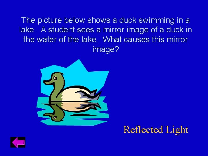 The picture below shows a duck swimming in a lake. A student sees a