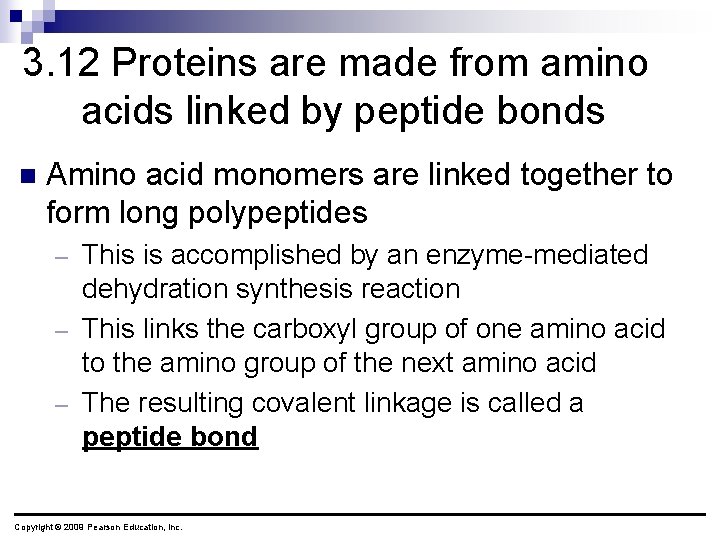 3. 12 Proteins are made from amino acids linked by peptide bonds n Amino