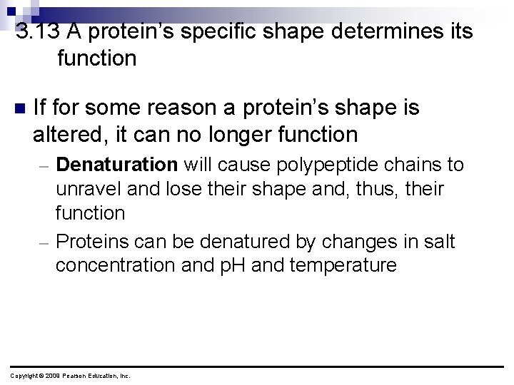 3. 13 A protein’s specific shape determines its function n If for some reason