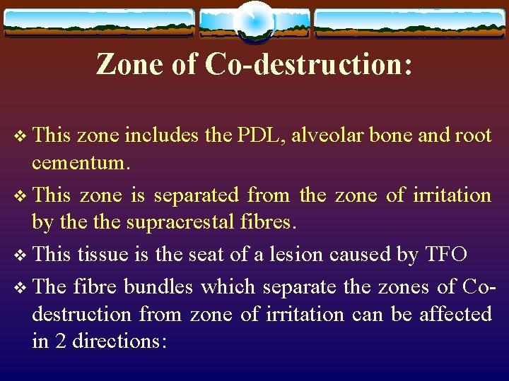 Zone of Co-destruction: v This zone includes the PDL, alveolar bone and root cementum.