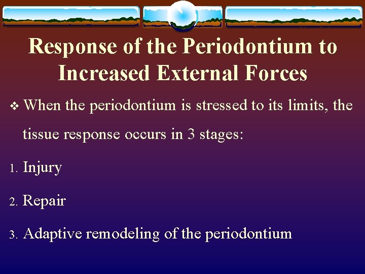Response of the Periodontium to Increased External Forces v When the periodontium is stressed