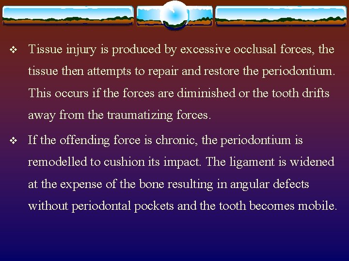 v Tissue injury is produced by excessive occlusal forces, the tissue then attempts to