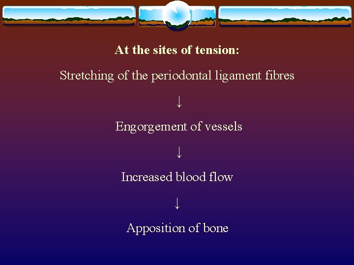 At the sites of tension: Stretching of the periodontal ligament fibres ↓ Engorgement of