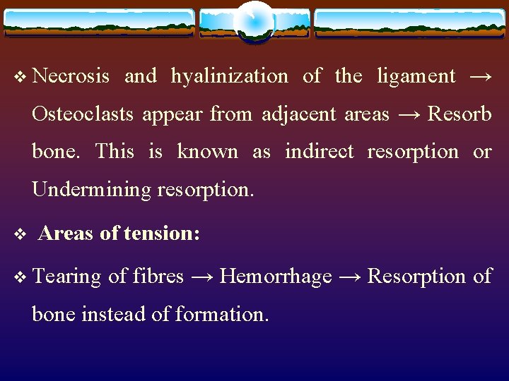 v Necrosis and hyalinization of the ligament → Osteoclasts appear from adjacent areas →