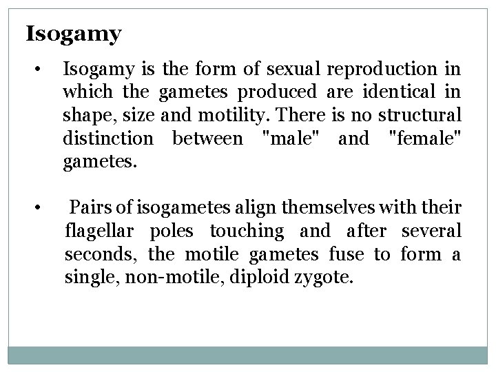 Isogamy • Isogamy is the form of sexual reproduction in which the gametes produced