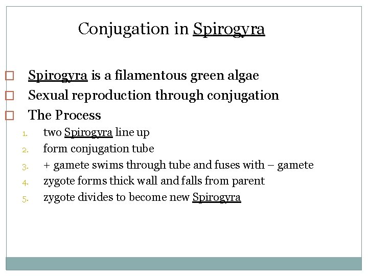 Conjugation in Spirogyra is a filamentous green algae � Sexual reproduction through conjugation �