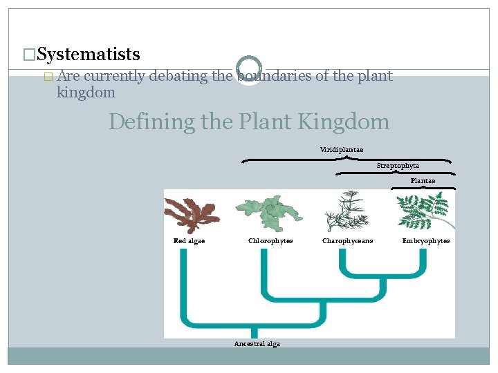 �Systematists � Are currently debating the boundaries of the plant kingdom Defining the Plant