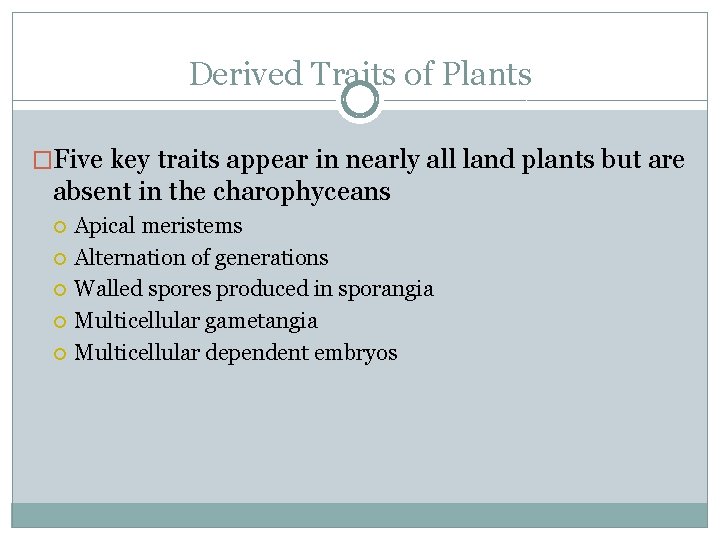 Derived Traits of Plants �Five key traits appear in nearly all land plants but