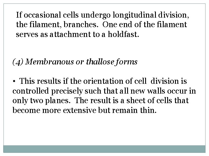 If occasional cells undergo longitudinal division, the filament, branches. One end of the filament