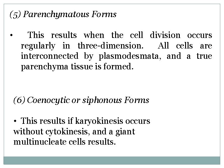 (5) Parenchymatous Forms • This results when the cell division occurs regularly in three-dimension.