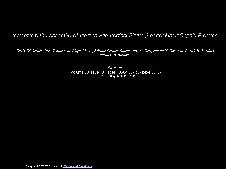 Insight into the Assembly of Viruses with Vertical Single β-barrel Major Capsid Proteins David