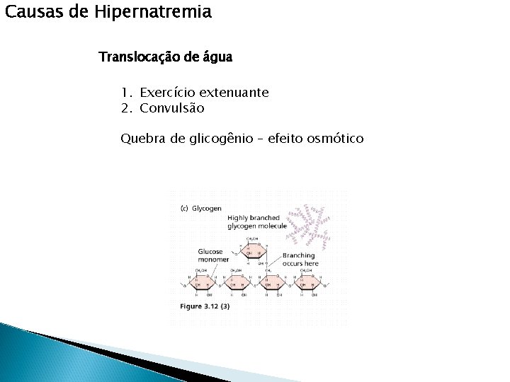 Causas de Hipernatremia Translocação de água 1. Exercício extenuante 2. Convulsão Quebra de glicogênio