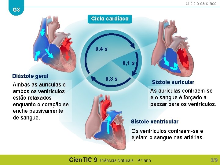 O ciclo cardíaco G 3 Ciclo cardíaco 0, 4 s 0, 1 s Diástole