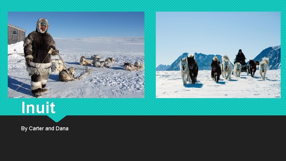 Inuit By Carter and Dana 