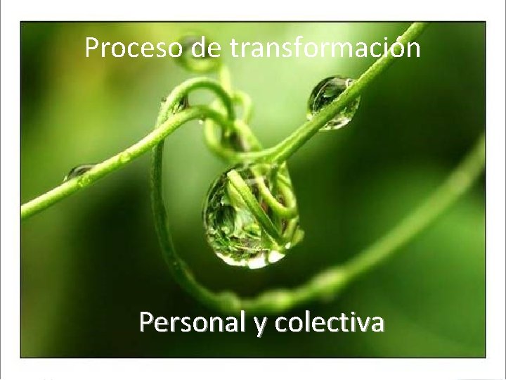 Proceso de transformación Personal y colectiva 