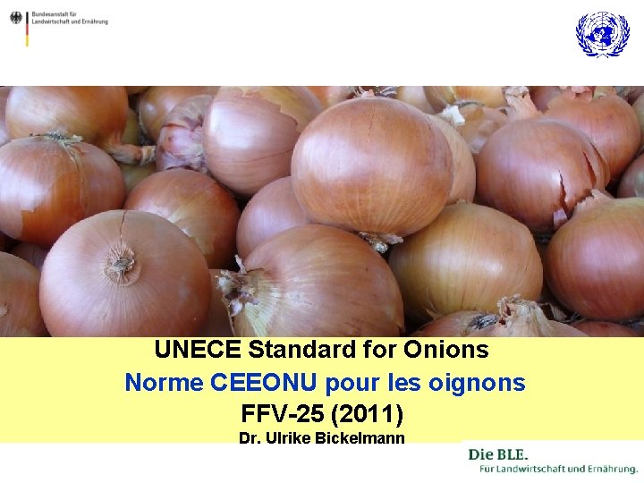 UNECE Standard for Onions Norme CEEONU pour les oignons FFV-25 (2011) Dr. Ulrike Bickelmann
