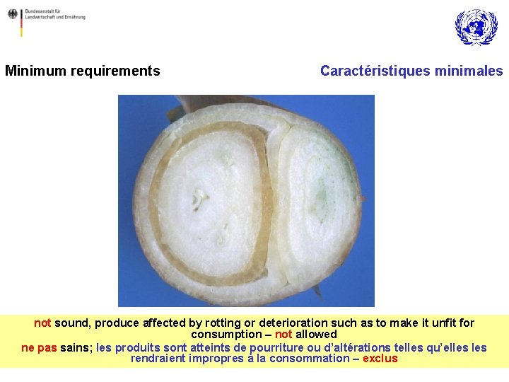 Minimum requirements Caractéristiques minimales not sound, produce affected by rotting or deterioration such as