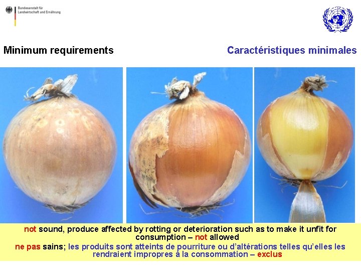 Minimum requirements Caractéristiques minimales not sound, produce affected by rotting or deterioration such as