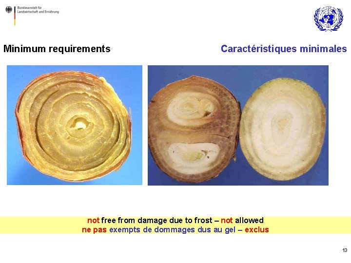 Minimum requirements Caractéristiques minimales not free from damage due to frost – not allowed